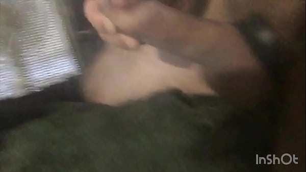 Corrida de oso en cámara lenta