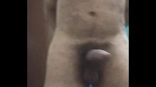 PAIZÃO BONITO SHEIPADO