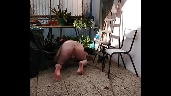 Le bâtard met les plantes sous abri.