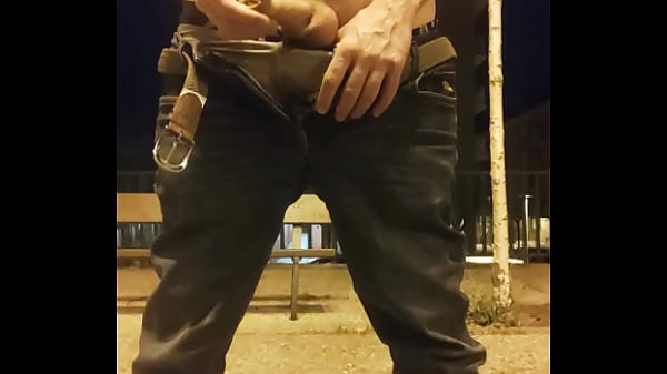 Paja a la noche en el parque