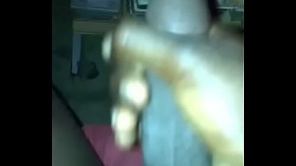 Angolano do pau preto grande