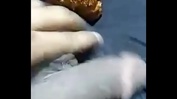 BIG ASS SANA CROSSY CAM SEX