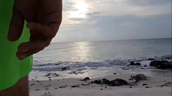 Dutch fag on the beach