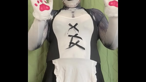 太ったハスキーメイド