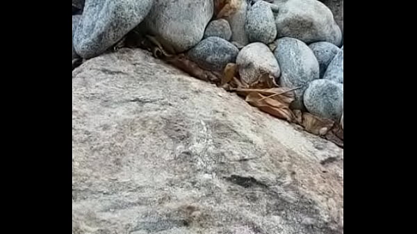 Mijão na praia de Abrico