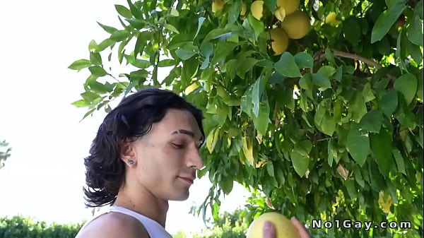 Huge dicks gays anal barebacking in the kitchen