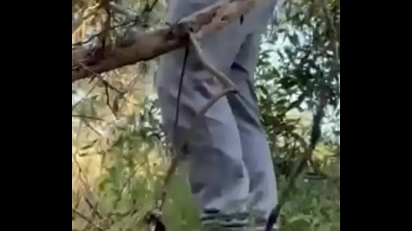 I was filming myself jerking off in the woods when a cute boy came and sucked me (and rimmed too)