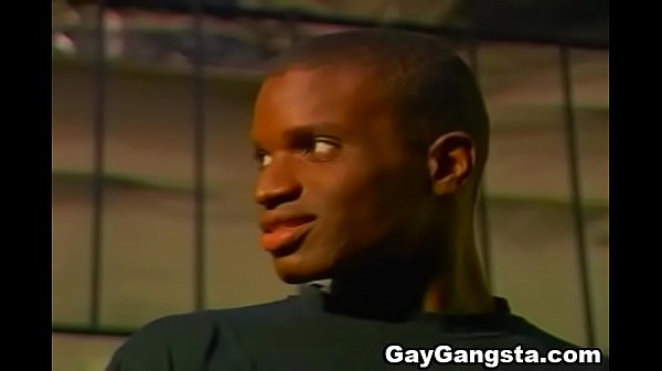 Horny black gays enjoy hardcore bareback fuck.